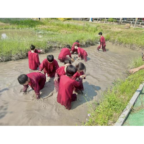 Về Khu Du Lịch Văn Hoá Phương Nam