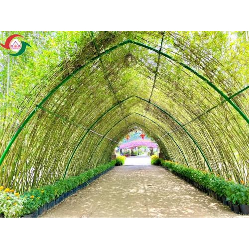 Chạm vào hồn quê qua những trải nghiệm dân gian