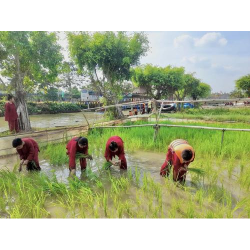 Chạm vào hồn quê qua những trải nghiệm dân gian