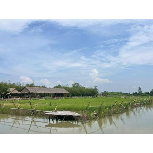 Tìm Về Giá Trị Truyền Thống Nam Bộ Tại Khu Du Lịch Văn Hóa Phương Nam