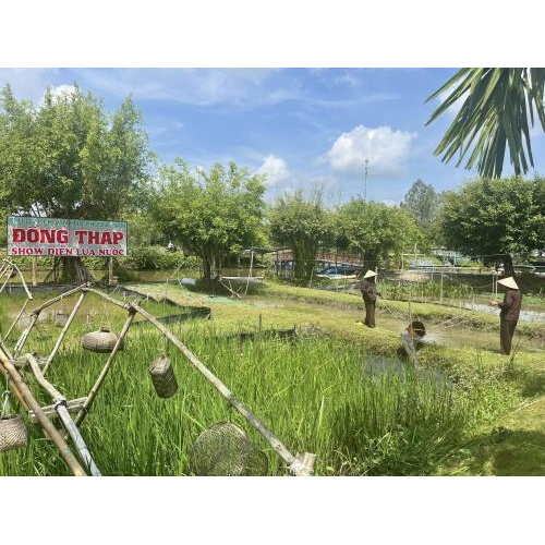 Check-in Khu Du Lịch Văn Hoá Phương Nam Dịp Lễ 2/9/2025