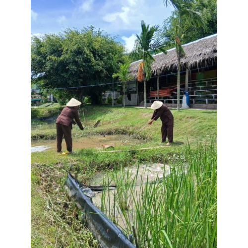 Một Ngày Làm Nông Dân Của Du Khách Tại Khu Du Lịch Văn Hoá Phương Nam