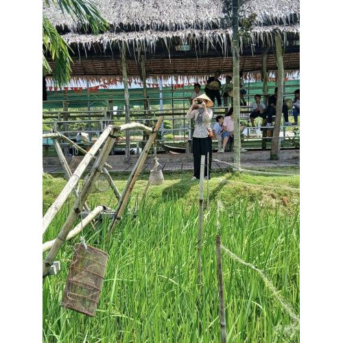 Một Ngày Làm Nông Dân Của Du Khách Tại Khu Du Lịch Văn Hoá Phương Nam