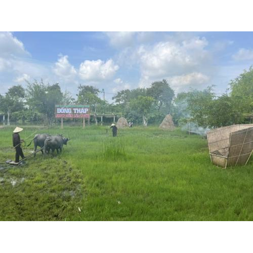 Một Ngày Làm Nông Dân Của Du Khách Tại Khu Du Lịch Văn Hoá Phương Nam