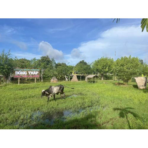 Một Ngày Làm Nông Dân Của Du Khách Tại Khu Du Lịch Văn Hoá Phương Nam