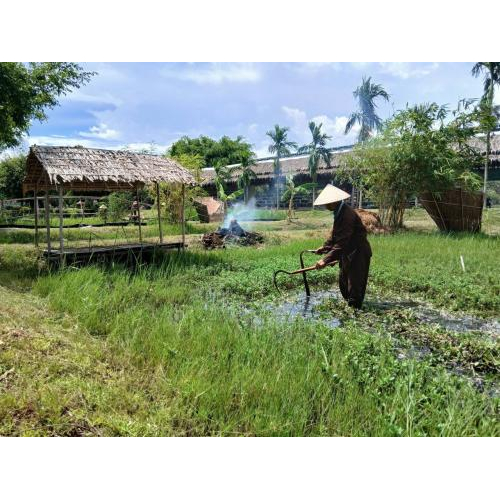 Một Ngày Làm Nông Dân Của Du Khách Tại Khu Du Lịch Văn Hoá Phương Nam
