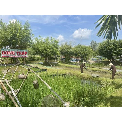 Một Ngày Làm Nông Dân Của Du Khách Tại Khu Du Lịch Văn Hoá Phương Nam