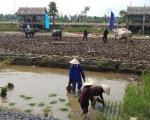 Làng Quê Nam Bộ