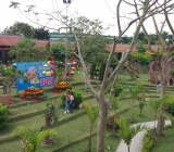 Vườn hoa thư pháp đón Tết